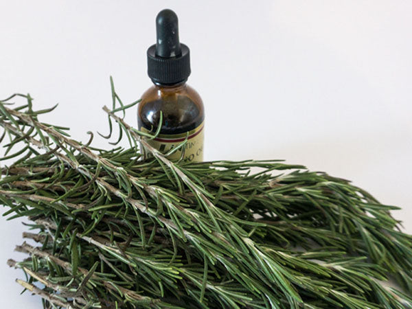 OREGANO OIL AGAINST FLU AND SINUS INFECTION