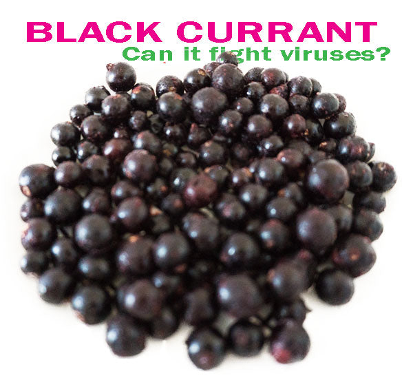 BLACK CURRANT TO FIGHT VIRUSES