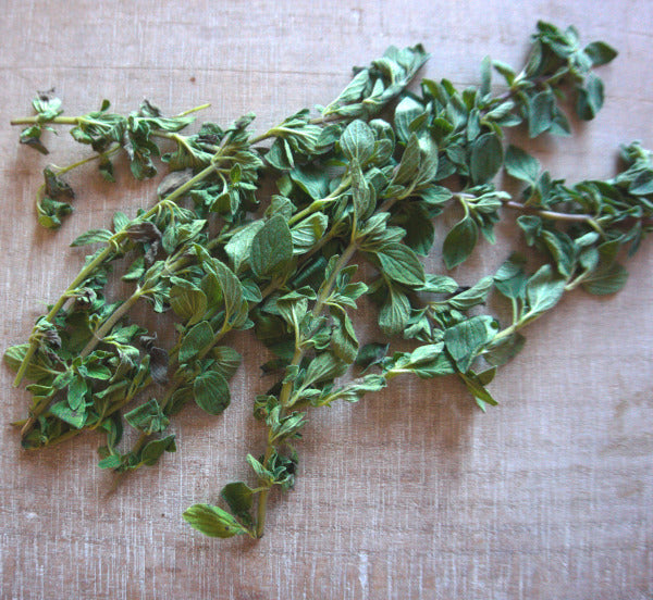 CAN OREGANO OIL KILL VIRUSES?