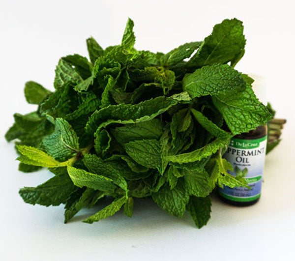 Peppermint Oil