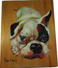 BULL DOG - CHANCEUSES