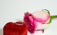 Solid 14k White Gold Ring with a Ribbon - CHANCEUSES